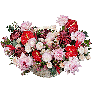 Velvet Passion with delivery Astrakhan