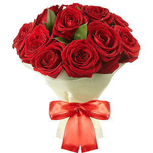 Red rose 50 cm - 15, Wrapping Paper