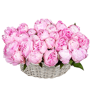Peony pink - 33, Medium Basket, Oasis