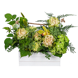Green Hydrangea - 1, Rose Veggie 50 cm - 5, Green carnation - 8, Green Cymbidium Orchid Bud - 1, Wooden pot, Oasis, Asparagus setaceus (1 pc.), Pistachio, Sedum, Flask for orchids,  Raspberry branch
