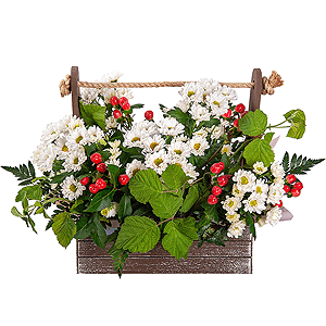 Strawberry Delight with delivery Astrakhan