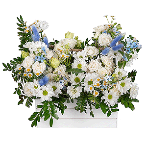 Blue-Eyed Beauty with delivery Astrakhan