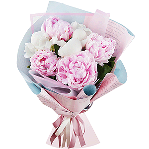 Delicate peonies with delivery Astrakhan