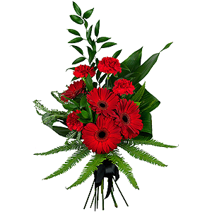 Carnation red - 6, Gerbera red - 6, Ambrella, Ruscus italian, Ruscus, Aspidistra (1 pc.), Ribbon