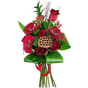 Red rose 50 cm - 9, Gerbera red - 6, Ruscus, Aspidistra (1 pc.), Hypericum, Dried flowers decor, Skimmia, Ribbon