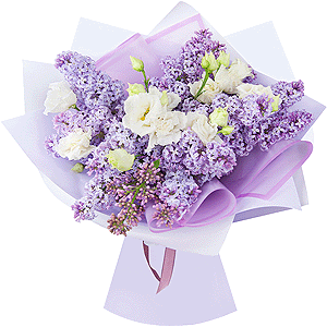 Lilac whisper with delivery Astrakhan