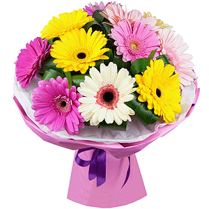 Gerbera white - 5, Gerbera yellow - 5, Gerbera pink - 9, Aspidistra (1 pc.), Wrapping Paper, Ribbon