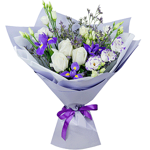 Sapphire radiance with delivery Astrakhan