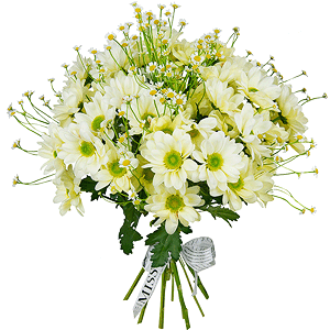 Bacardi Yellow Spray Chrysanthemum - 9, Chamomile - 9, Ribbon