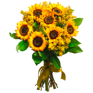 Sun kissed with delivery Astrakhan