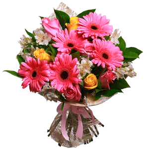 Pink Panther with delivery Astrakhan