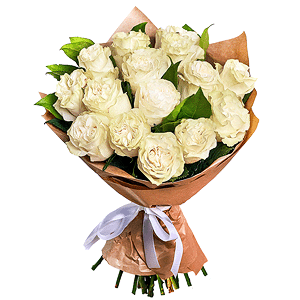 White rose 50 cm Ecuador - 25, Salal, Wrapping Paper