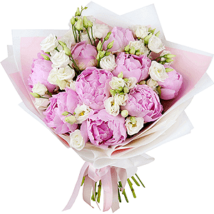 Pink champagne with delivery Astrakhan