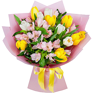 Spring swallows with delivery Astrakhan