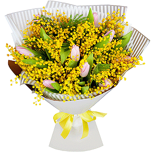 Pink tulip - 17, Mimosa - 6, Wrapping Paper, Ribbon