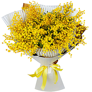 Bouquet of mimosa with delivery Astrakhan