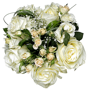 Real Feelings with delivery Astrakhan