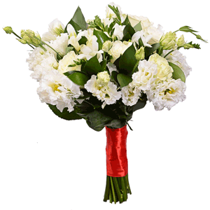 White rose 50 cm - 15, Freesia - 23, lisianthus - 9, Ruscus, Ribbon