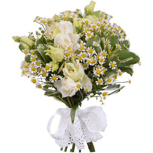 Chamomile - 10, lisianthus - 7, Pittosporum, Ribbon