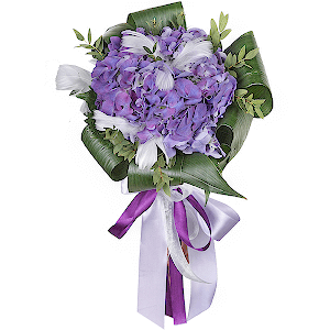 Exquisite Hydrangea with delivery Astrakhan