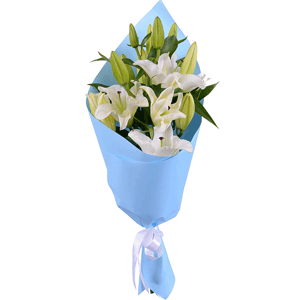 Arrangement of 3 white lilies with delivery Astrakhan