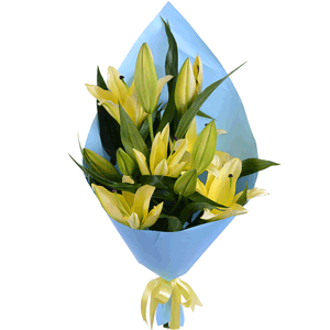 Yellow lily - 5, Wrapping Paper, Ribbon