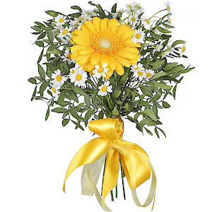 Compliment with delivery Astrakhan