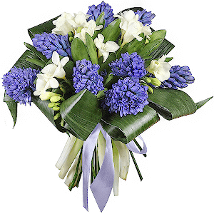 Blue Hyacinth - 11, Freesia - 7, Aspidistra (1 pc.), Ribbon