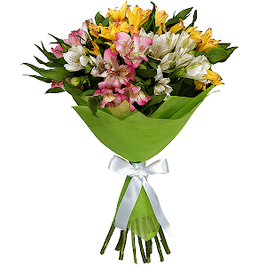 For the best Teacher with delivery Astrakhan