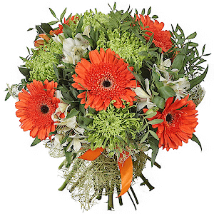 Tropicana with delivery Astrakhan