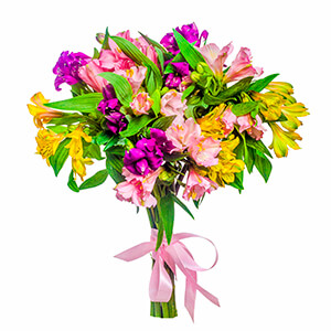 Alstroemerias - 16, Ribbon