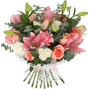 Solo with delivery Astrakhan