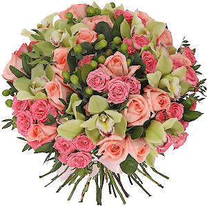 Ladies' man with delivery Astrakhan