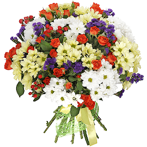 Wonderful valley with delivery Astrakhan