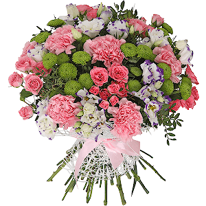 Curlicue with delivery Astrakhan