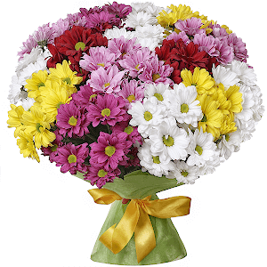 Rainbow with delivery Astrakhan