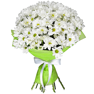 Teacher`s Day with delivery Astrakhan