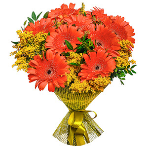 Gerbera daisies - 12, Solidago (1 pc.), Pistachio, Mesh (Abaka), Ribbon