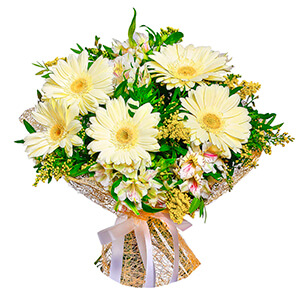 White Sun with delivery Astrakhan