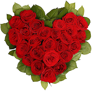 Red rose 50 cm - 33, Oasis Heart shape (40x40 cm), Salal