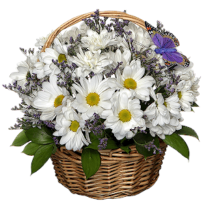 The Best Traditions with delivery Astrakhan