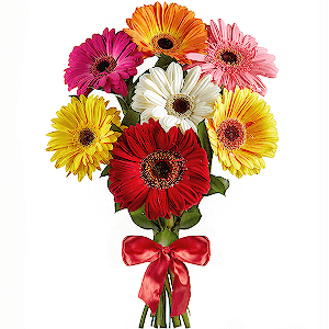 Bright Smile with delivery Astrakhan