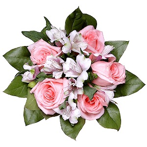 The Happiest with delivery Astrakhan