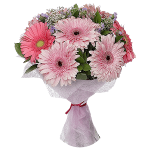 Gerbera pink - 17, Gypsophila - 2, Ruscus, Blue Statice, Felt, Ribbon