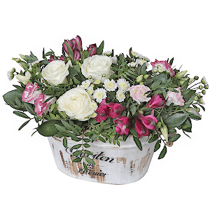 Dream with delivery Astrakhan