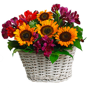 Warm Evening with delivery Astrakhan