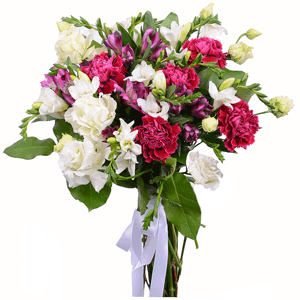 Sweet posh thing with delivery Astrakhan