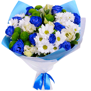 Rose blue - 15, Bacardi White Spray Chrysanthemum - 4, Athos pom Feeling Green - 4, lisianthus - 6, Pittosporum, Felt, Wrapping Paper, Ribbon