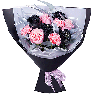 Noir with delivery Astrakhan