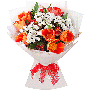 Alstromeria Red, Bright Pink - 3, Athos poms Stallion - 4, Orange tulip - 11, Wrapping Paper
